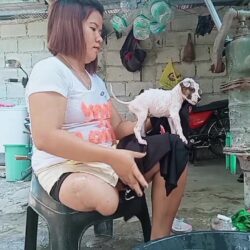 Ms Zhed bathing pets