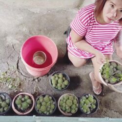 Ms Zhed garden caretaking 4k