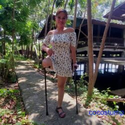 Vernie mini dress crutching