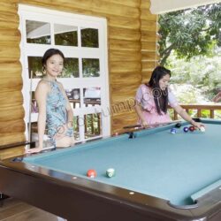 Cathy & Megan billiard 4k